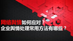 處理輿情公司：企業(yè)形象管理的重要支柱